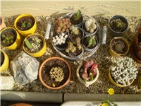 f2c0be9c-Picture 082.jpg